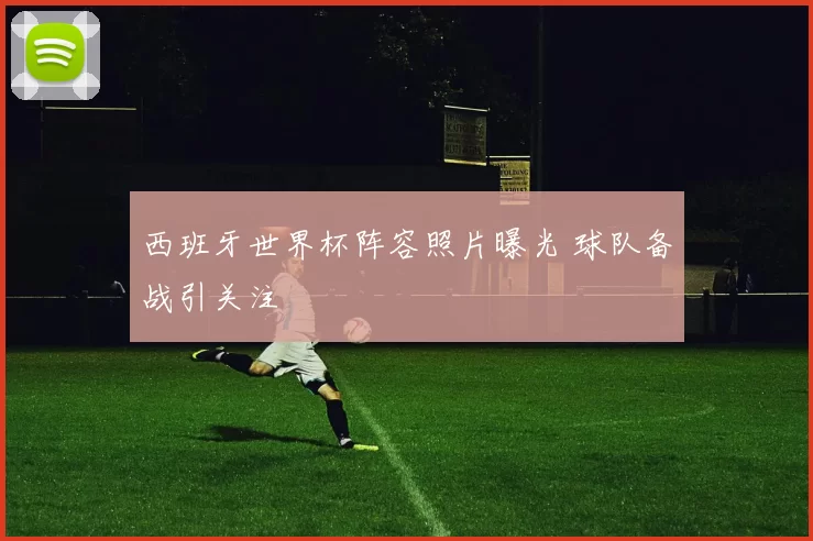 西班牙世界杯阵容照片曝光 球队备战引关注