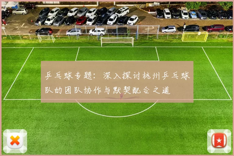 乒乓球专题:深入探讨杭州乒乓球队的团队协作与默契配合之道