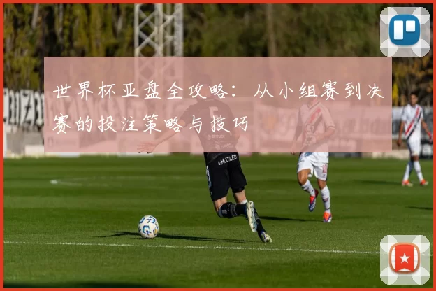 世界杯亚盘全攻略：从小组赛到决赛的投注策略与技巧