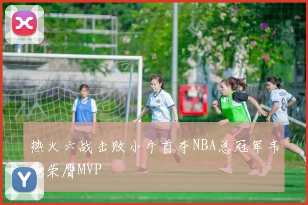 热火六战击败小牛首夺NBA总冠军韦德荣膺MVP