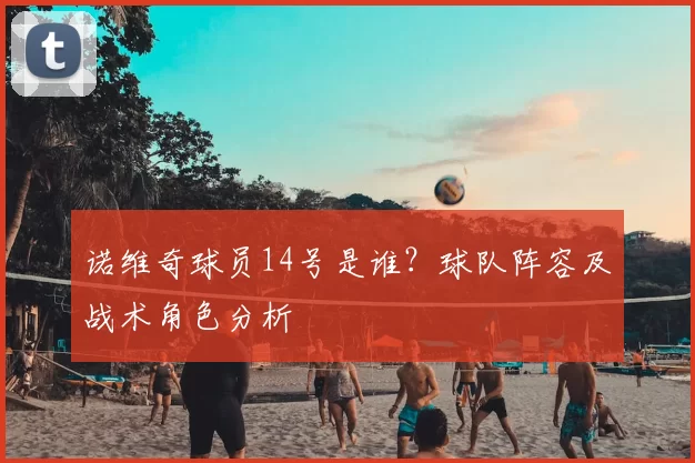 诺维奇球员14号是谁？球队阵容及战术角色分析