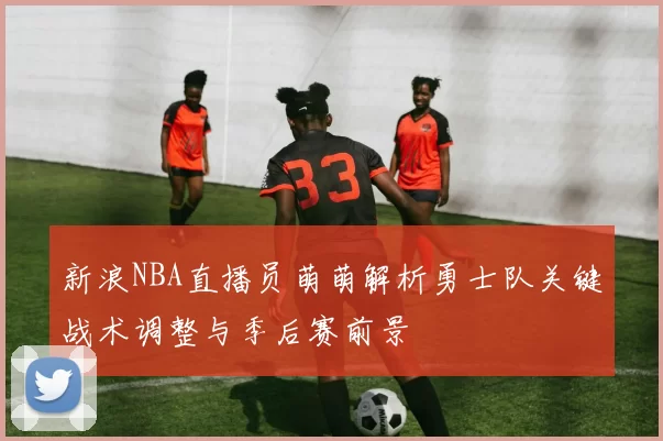 新浪NBA直播员萌萌解析勇士队关键战术调整与季后赛前景