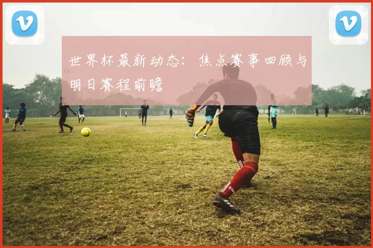 世界杯最新动态：焦点赛事回顾与明日赛程前瞻