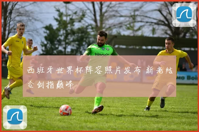 西班牙世界杯阵容照片发布 新老结合剑指巅峰