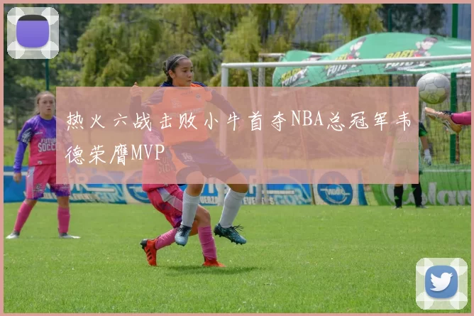 热火六战击败小牛首夺NBA总冠军韦德荣膺MVP