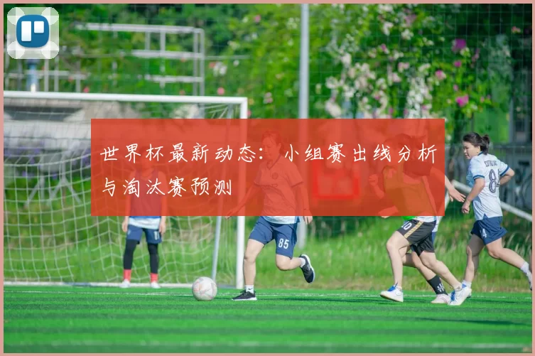 世界杯最新动态：小组赛出线分析与淘汰赛预测