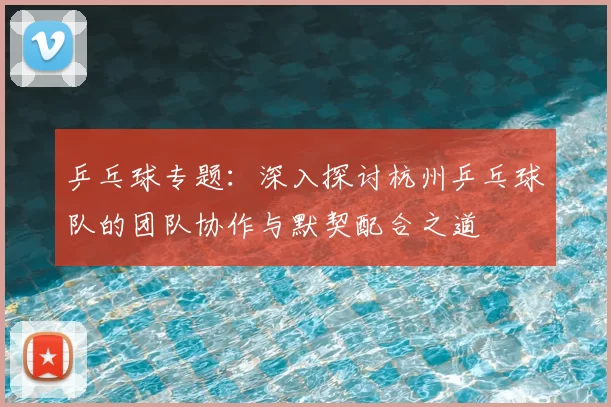 乒乓球专题：深入探讨杭州乒乓球队的团队协作与默契配合之道